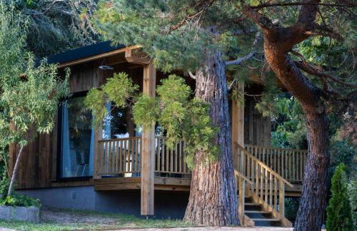 Jardín Las Secuoyas - Foto 49