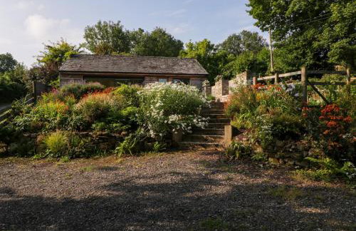 Black Cat Bach - Foto 27