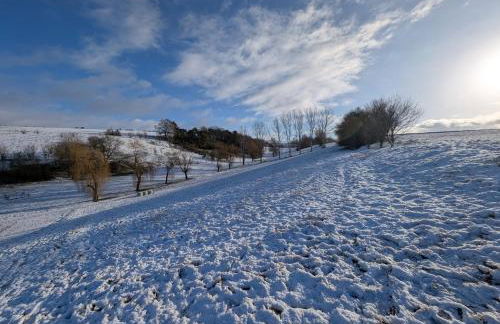 Schrauts Unwesen - Photo 45