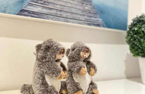 Les 2 Marmottes - Appartement Cosy Hyper Centre Evian - Foto 14