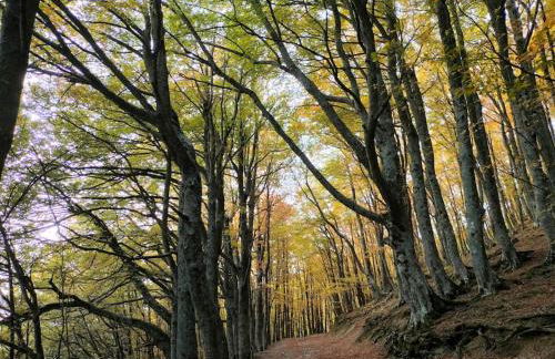 Chalet Aria Sottile - Foto 29