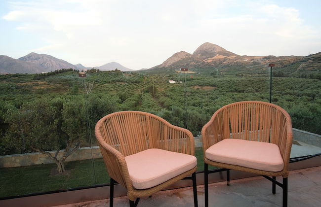 Terra Divina - Foto 46