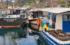 Villa Jolanta - Foto 34