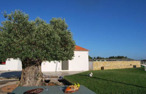 Adega Monte Maneta - Foto 24