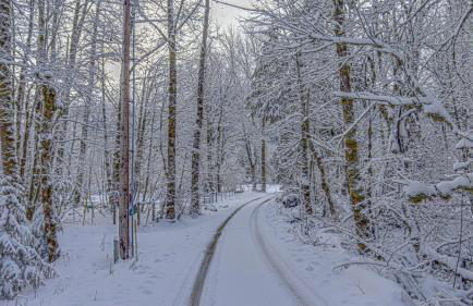 Clear Creek Cabin - Meredith Lodging - Foto 72