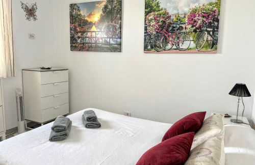 Buganvilla - Photo 8