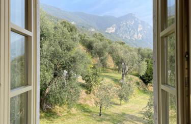 Appartamento Cristol - Foto 24