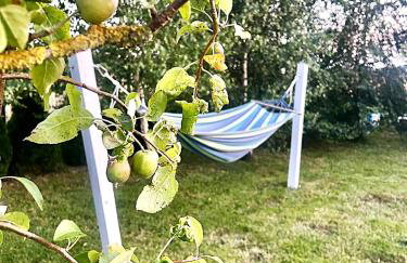 APARTAMENTY Wakacyjna 53 Dziwnówek, Wrzosowo - Foto 71