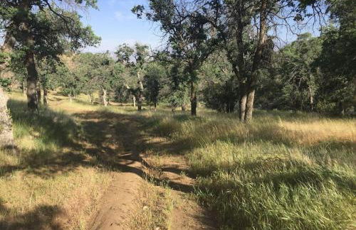 Shirley Creek Retreat: a Mountain Oasis - Foto 37