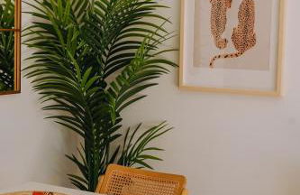 Playa y Palmera - Photo 13