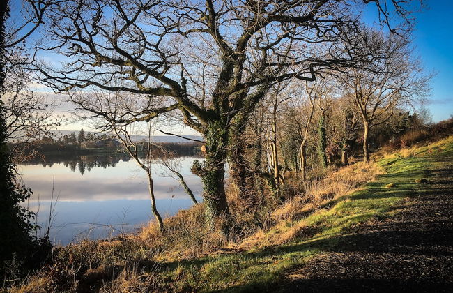 Shamrock Cottage - Photo 26