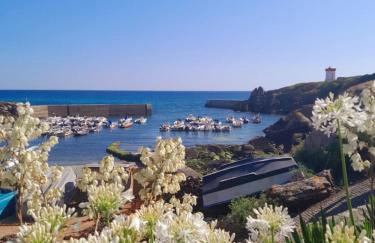 Les hortensias de papy - Foto 14