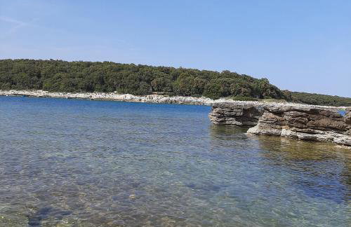 Apartments Kaić 1045 - Photo 40