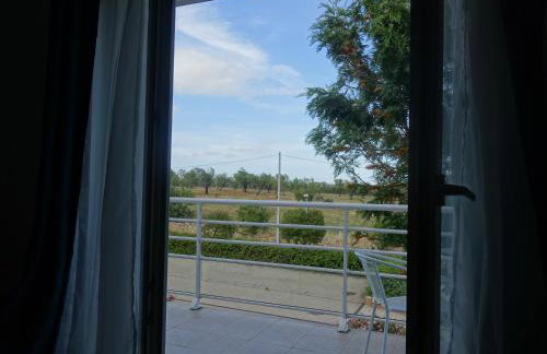 Gloria Maris Cabanas Gardens - Foto 33