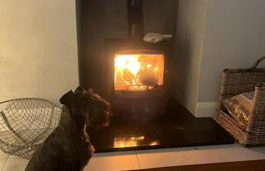 Ryan's Cottage - Photo 13