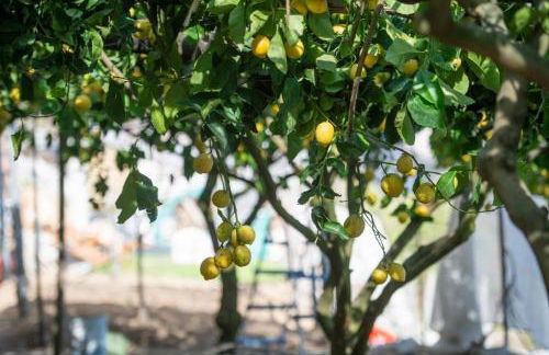 Villa Alba d'Amalfi - The dawn one step from the Heaven - Photo 22