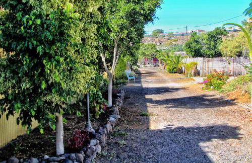 FINCA BEROLO 1 - Foto 28