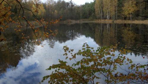 Ferienwohnung Bockelt - Foto 3