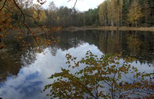 Ferienwohnung Bockelt - Foto 3