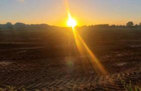 The Retreat 1 bed cabin in the woods - Foto 16