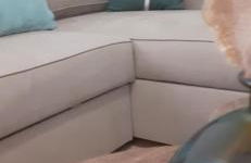 La PAUSE Salonaise "au coeur de la ville" - Foto 12