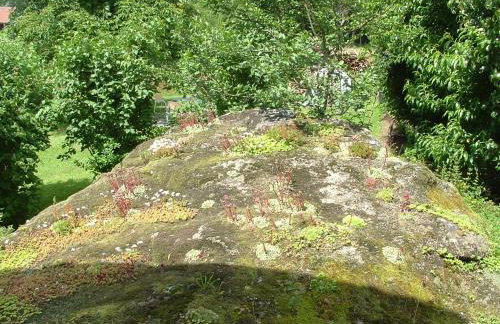 Haus Eschenberg - Foto 5