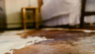 A Wilderness Retreat - Your Gateway to Yellowstone - Foto 2