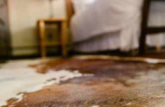 A Wilderness Retreat - Your Gateway to Yellowstone - Foto 2