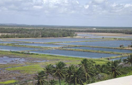 Apart Canoa Quebrada - Photo 62