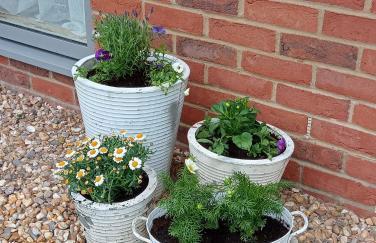 Beautiful Marina Apartment with private garden, flexible bedrooms with zip & link beds - Photo 27