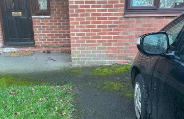 Stylish Home With Full Amenities - Photo 3