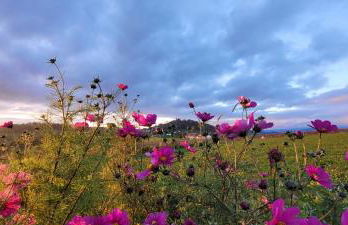 Ferienwohnung Bayerwaldblick - Foto 35