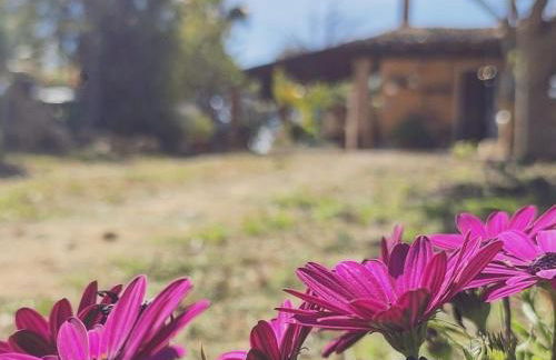 Dimora Virone Paradiso - Foto 18