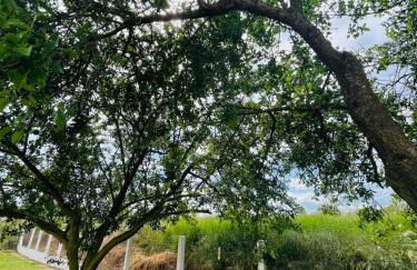 Maison située aux confins de la Vallée du Loir - Photo 13