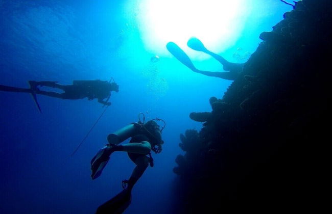 Windchime Estates - Photo 51