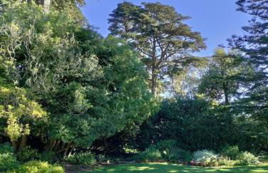 Sunny SF home - cozy, spacious, convenient w/parking, A+ location!! - Foto 47