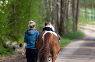 TinyHousebeiDresden mit Faßsauna Über dem Wasser schwebendes winziges Häuschen Nähe Dresden Sächsische Schweiz - Foto 18