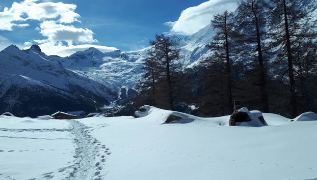 Orion - Foto 5, View