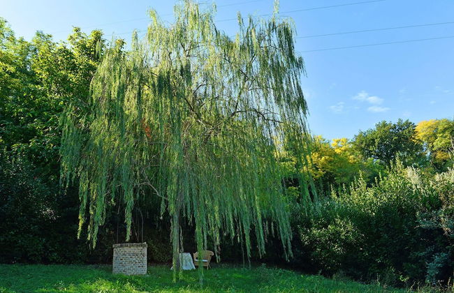 Elegant Villa in Montecosaro Italy with Hot Tub - Foto 23