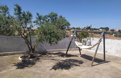 Casa da Oliveira - Foto 7