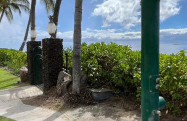 Compass Blue Lahaina - Foto 12