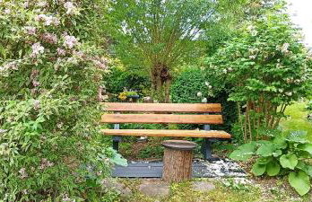 Dom Pod Złotym Bażantem - Foto 9