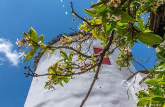 Old Windmill in Triandaros village - Foto 16