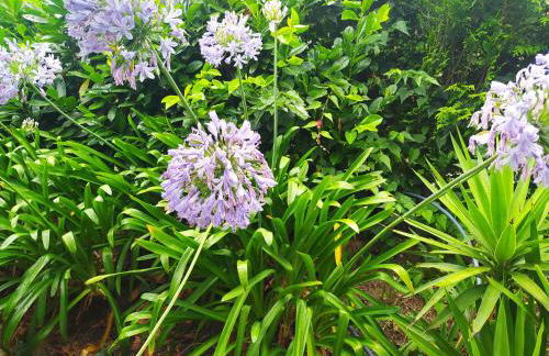 CASA DAS FONTELAS - Foto 40