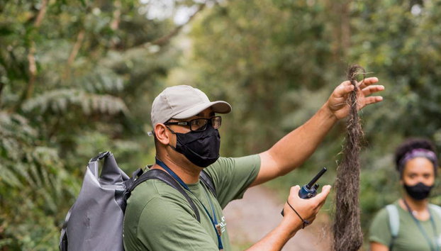 Guaratuba Waterfall Hiking Tour - Photo 3, Listening to the guide's explanations