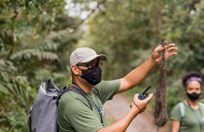 Senderismo hasta la cascada de Guaratuba - Foto 3