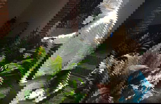 Palacete Magistral Dominguez - Foto 17