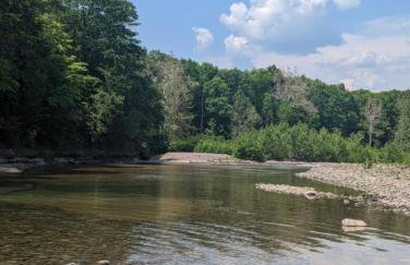 Catskills retreat - ATV, Hot tub, hiking, fishing - Foto 6