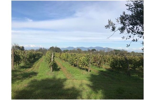 Beautiful Apartment in Tuscany - Foto 8