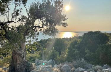 Villa Riba - Photo 13